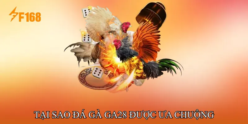 Tại sao Đá gà GA28 được ưa chuộng Tại sao Đá gà GA28 được ưa chuộng